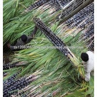 Sugar cane alcohol 96% for sale